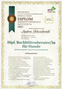 Diplom Bachbl&uuml;te_11062021